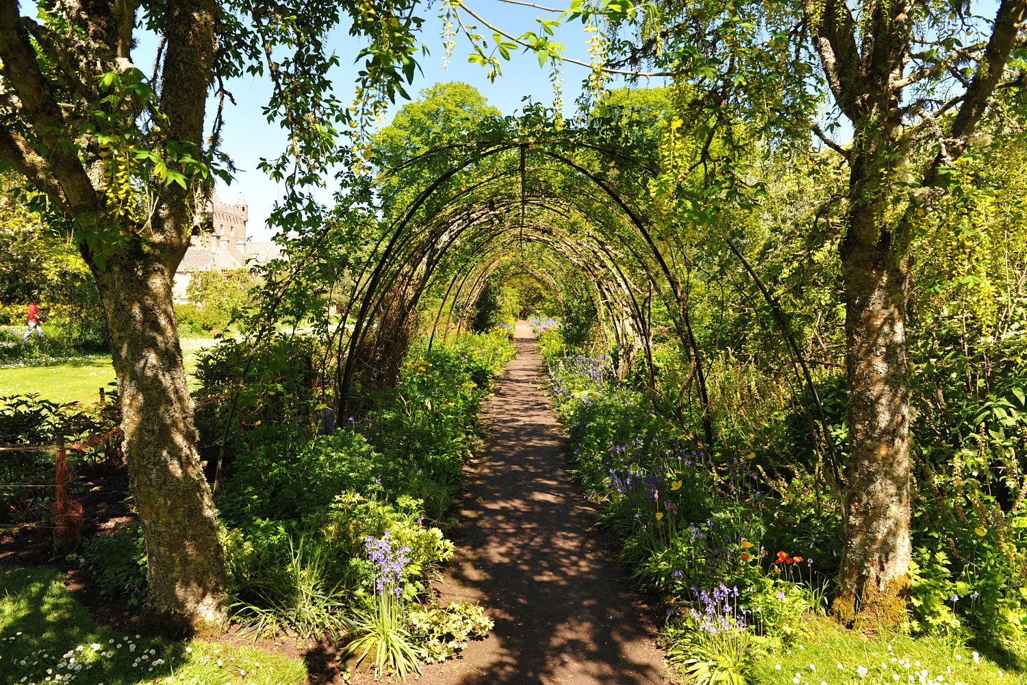 Image 12